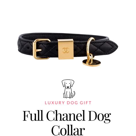 collar logo chanel|Chanel dog leash.